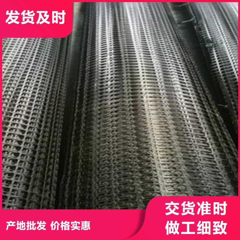 【 双向塑料格栅,三维植被网厂家】