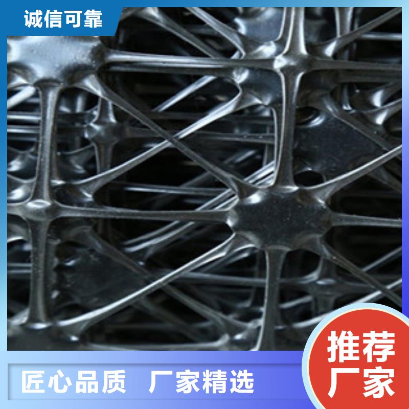 【 双向塑料格栅,三维植被网厂家】