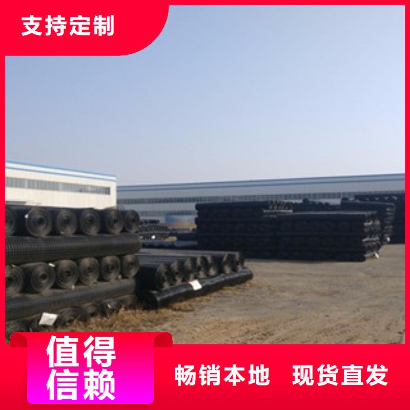 【 双向塑料格栅,三维植被网厂家】