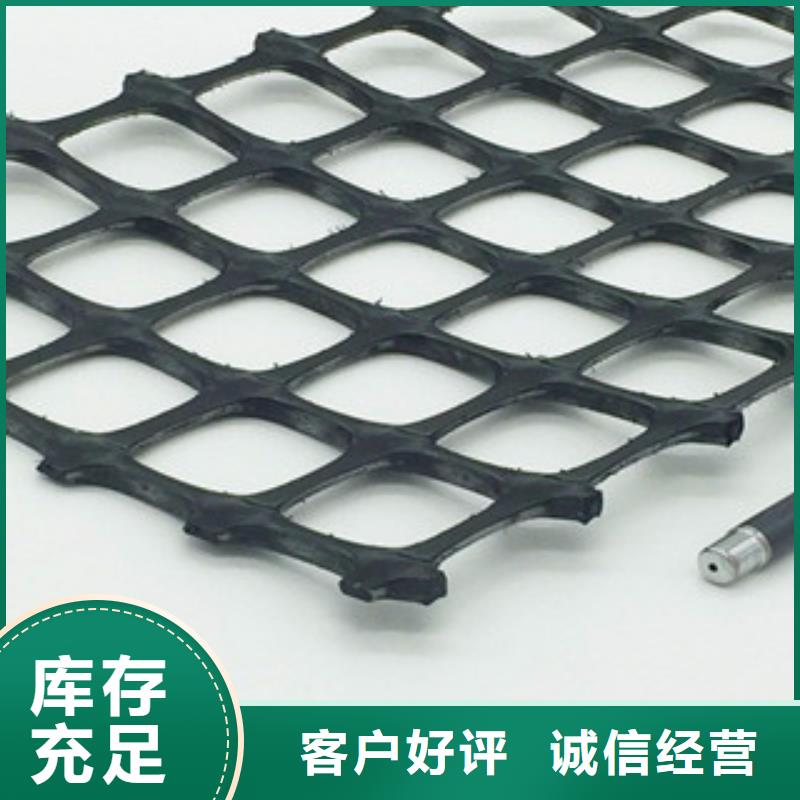 【 双向塑料格栅,三维植被网厂家】