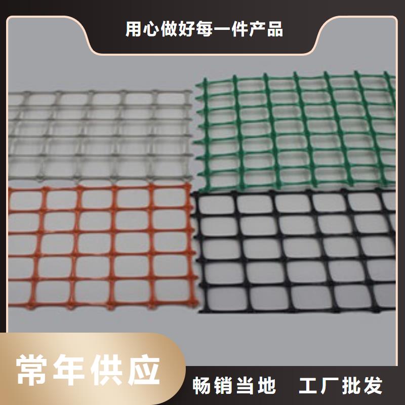 【 双向塑料格栅,三维植被网厂家】