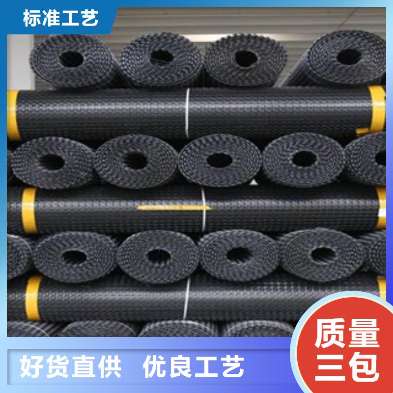 双向塑料格栅三维植被网厂家采购