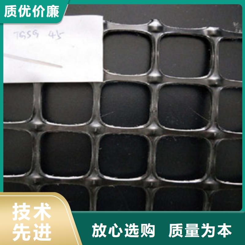 双向塑料格栅三维植被网厂家采购