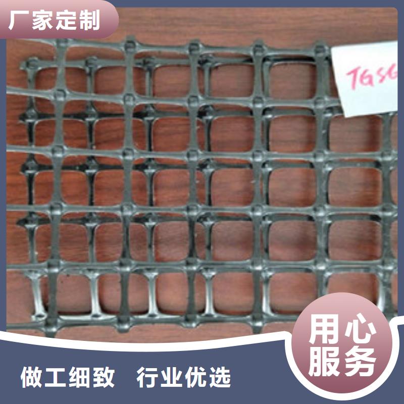双向塑料格栅三维植被网厂家采购