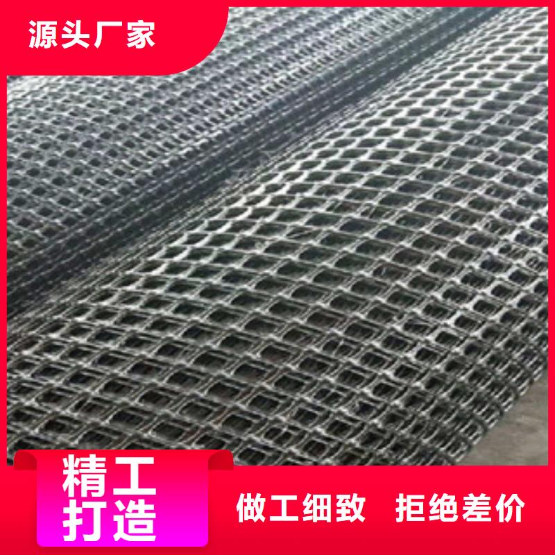 【 双向塑料格栅,三维植被网厂家】
