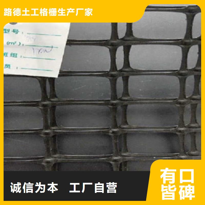 双向塑料格栅-三维植被网精心