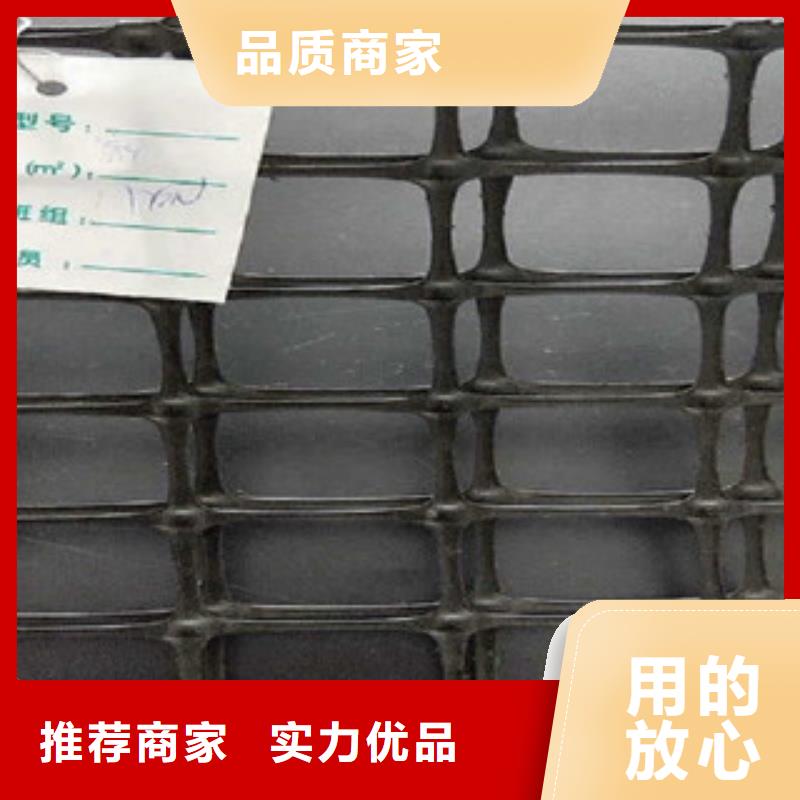双向塑料格栅三维植被网厂家采购