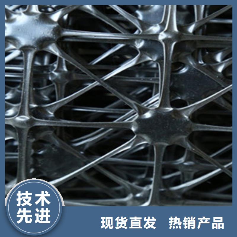 双向塑料格栅三维植被网厂家采购