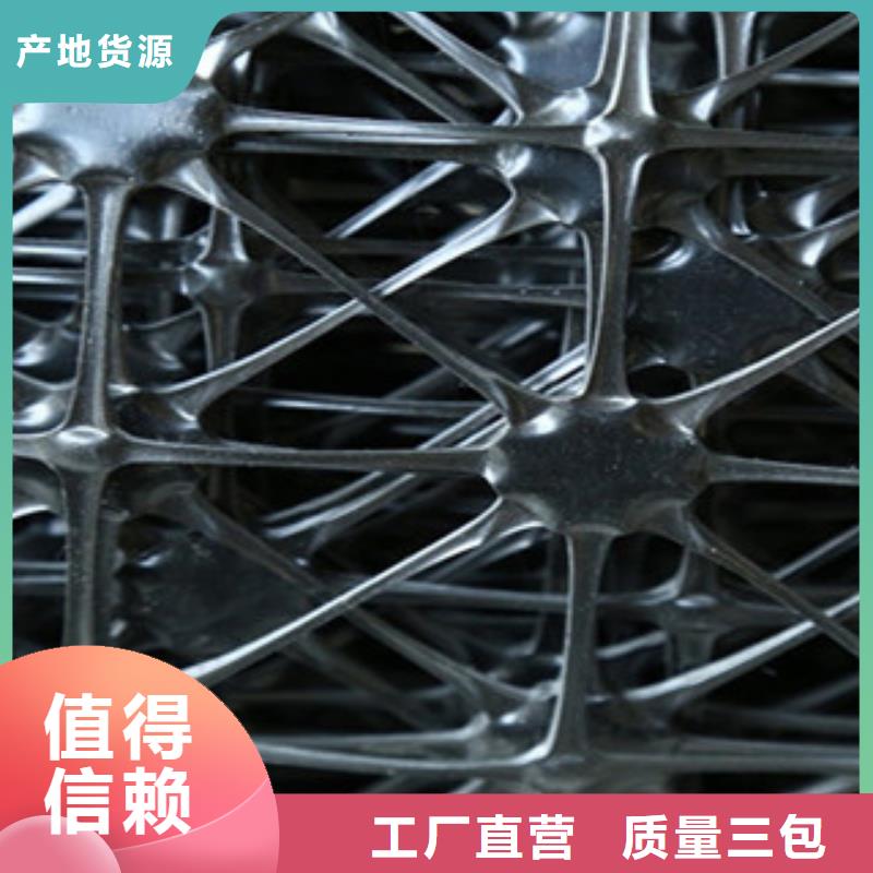 双向塑料格栅-三维植被网精心