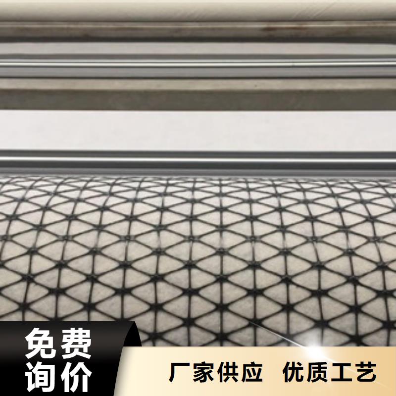 双向塑料格栅-三维植被网精心