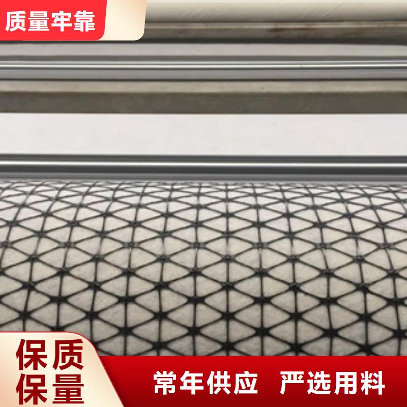 【 双向塑料格栅,三维植被网厂家】