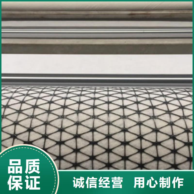 双向塑料格栅三维植被网厂家采购