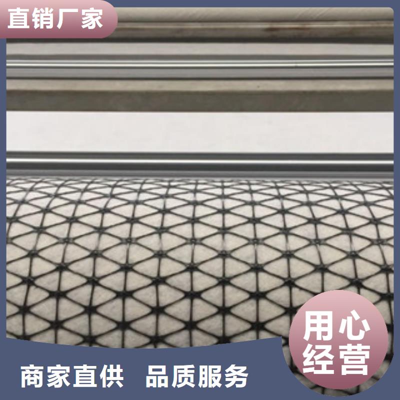 双向塑料格栅-塑料排水板厂家直销供货稳定