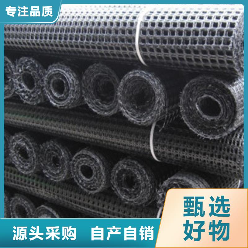 双向塑料格栅三维植被网厂家采购
