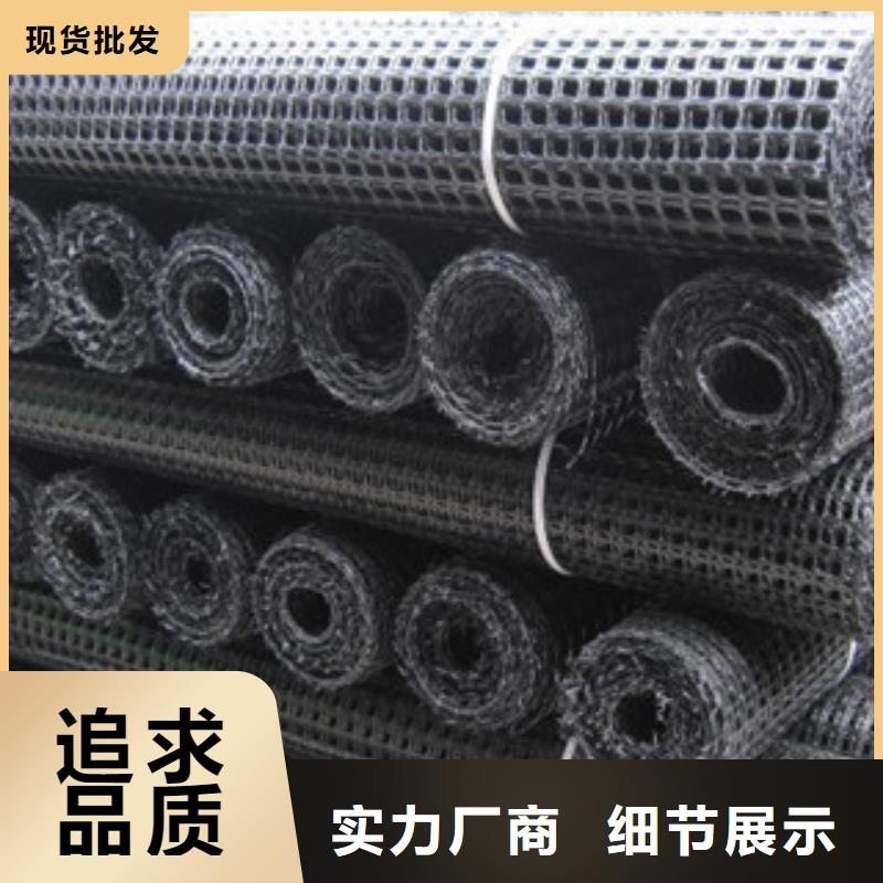 双向塑料格栅-三维植被网精心