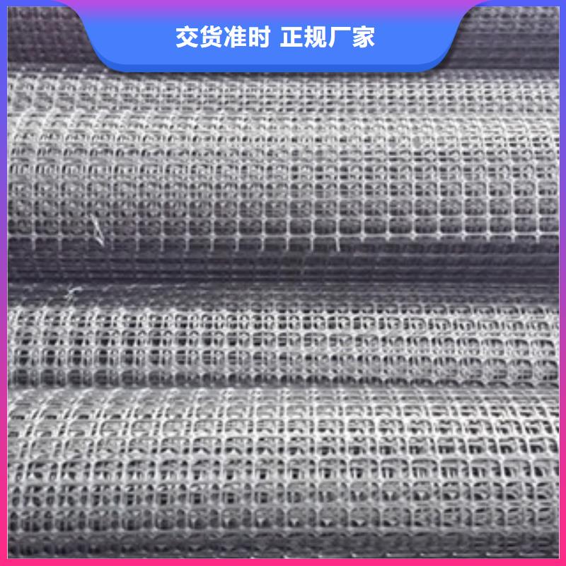 双向塑料格栅-三维植被网精心