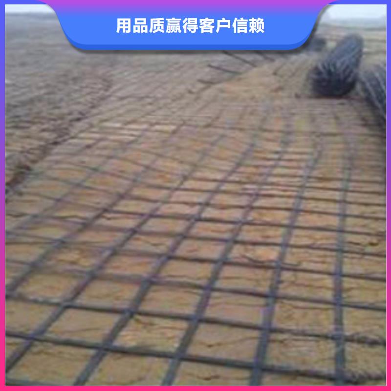 钢塑土工格栅膨润土防水毯长期供应