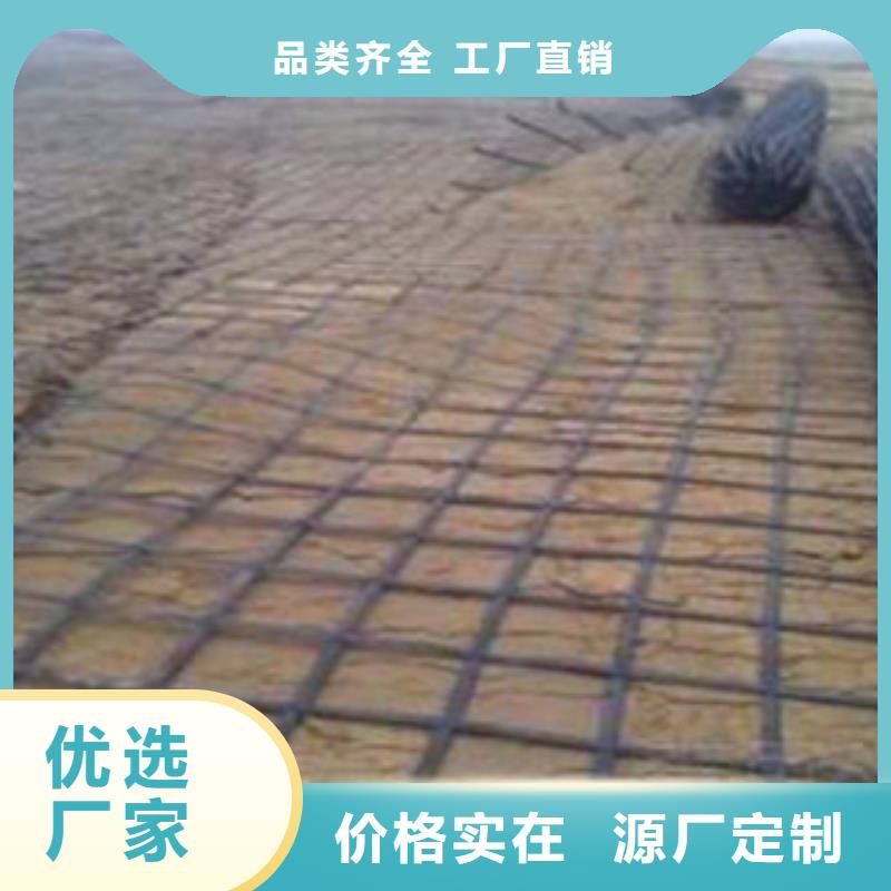 钢塑土工格栅防裂贴抗裂贴厂家货源稳定