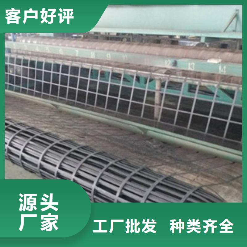 钢塑土工格栅塑料土工格栅产地直销