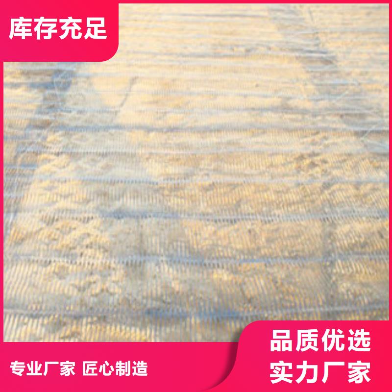 越秀|天河|揭阳|佛山|惠州|东莞【 单向塑料格栅-三维植被网供应商】厂家