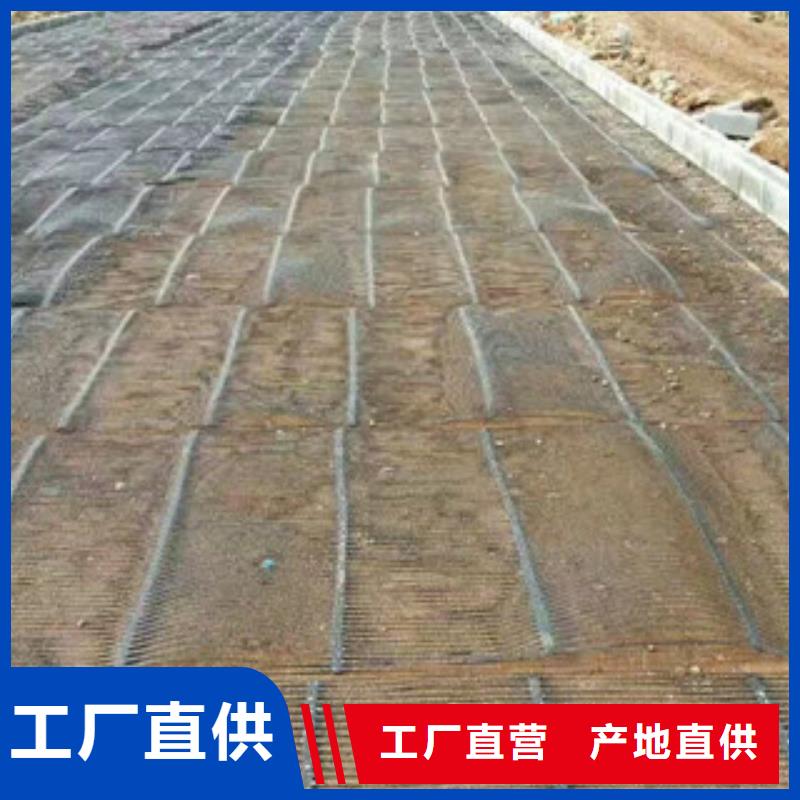 路德三维植被网单向塑料格栅_【三维植被网】定制不额外收费