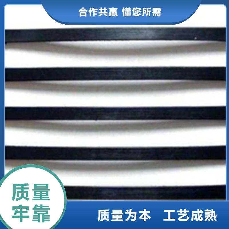 单向塑料格栅,膨润土防水毯定金锁价
