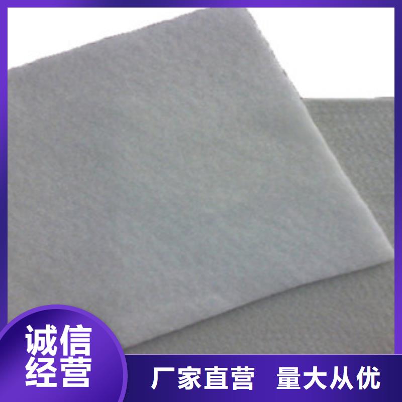 土工布高强度土工网可定制