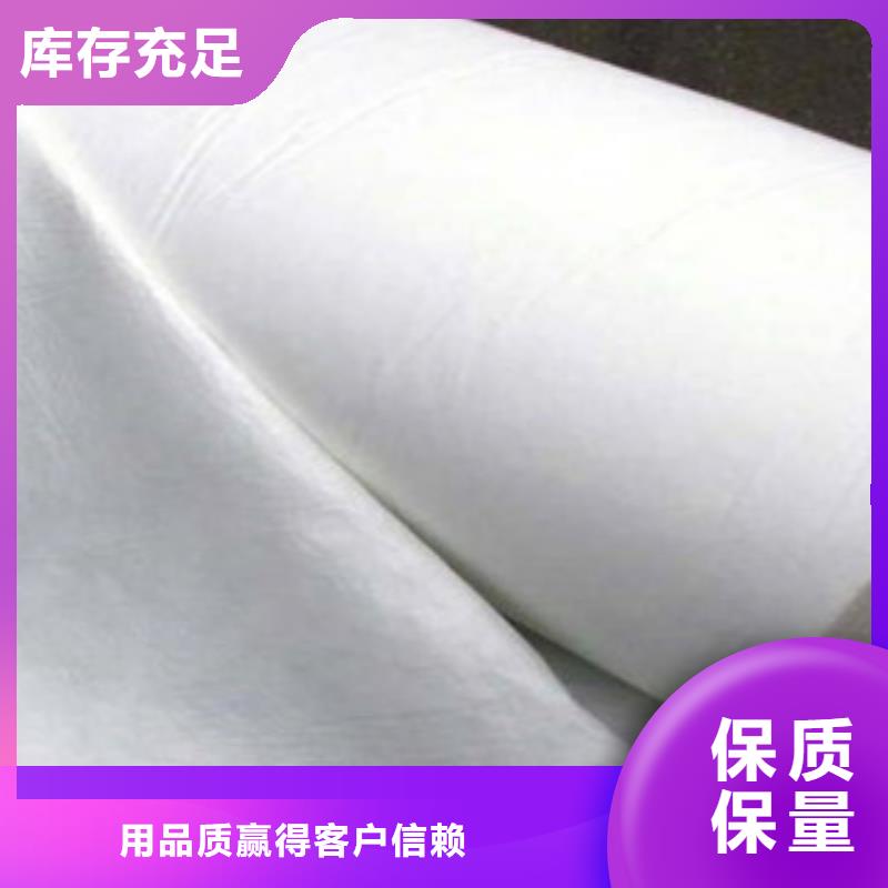 土工布高强度土工网可定制