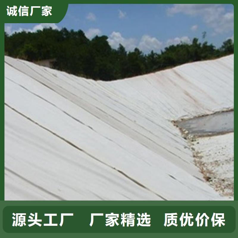 土工布高强度土工网可定制