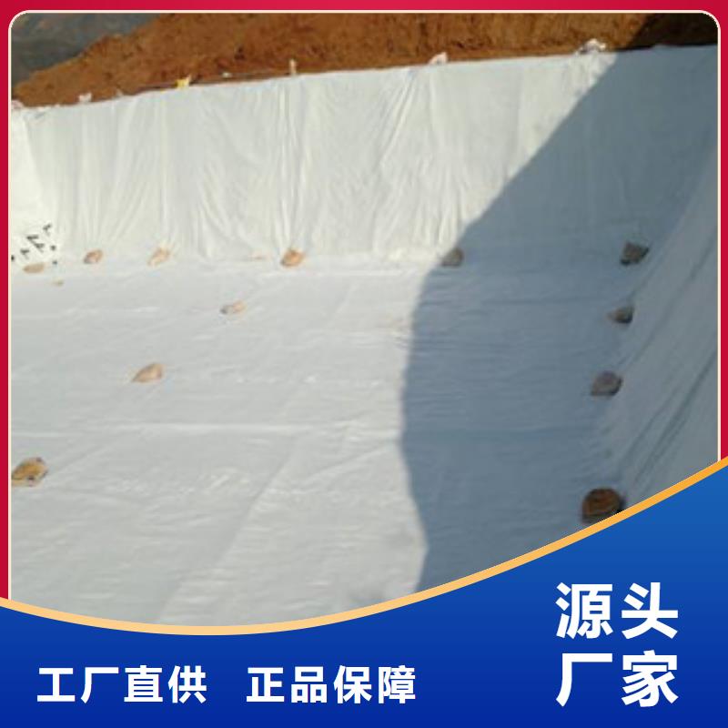 【土工布】三维植被网严谨工艺-可发货到泽州|高平|大同|阳泉|长治|晋中
