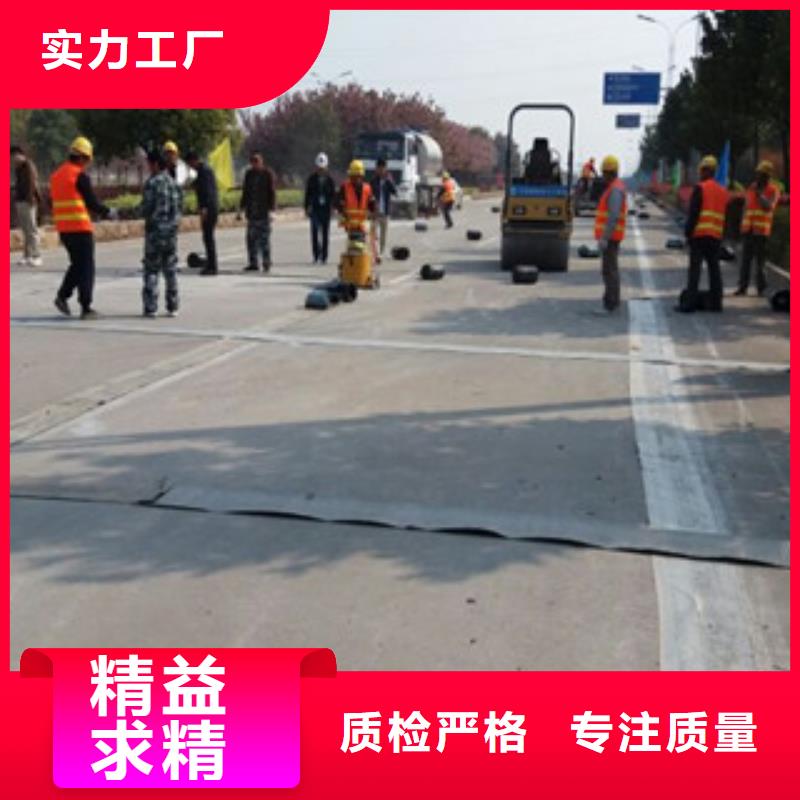 三维植被网视频-河南省开封市路德三维植被网可服务区域兰考|禹王台|漯河|驻马店|三门峡|许昌|信阳|商丘|安阳等