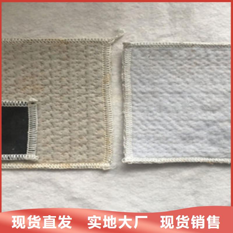 膨润土防水毯_钢塑土工格栅48小时发货