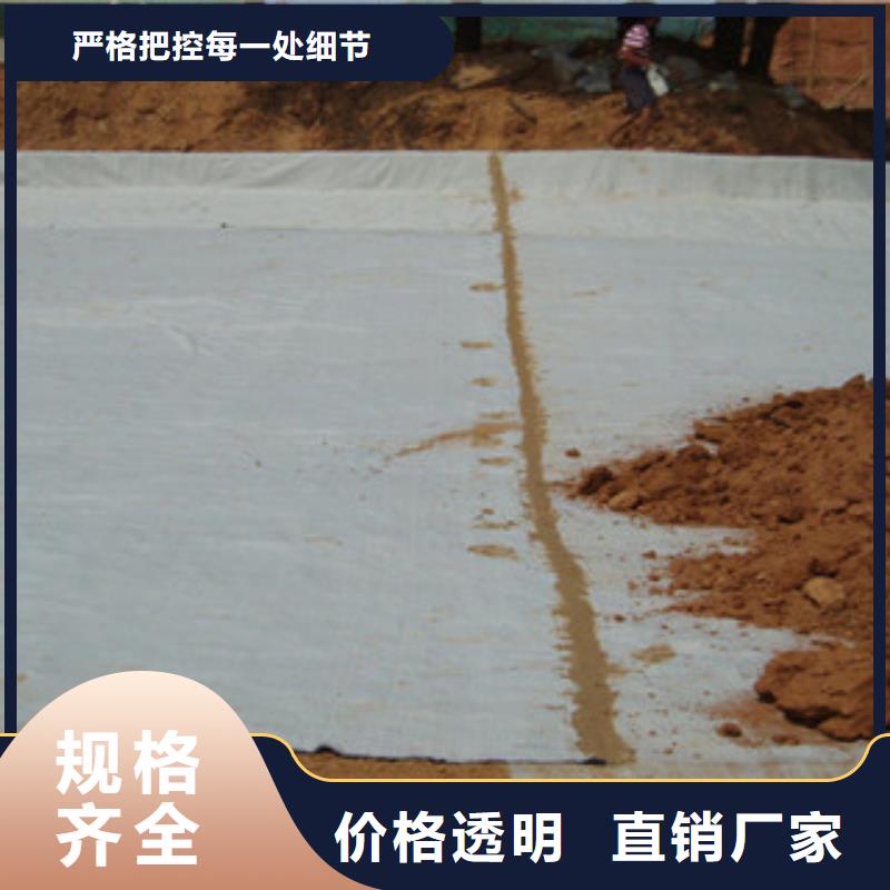 【膨润土防水毯】-塑料土工格栅好品质用的放心-路德土工格栅生产厂家(临汾市分公司)|覆盖地域霍州|曲沃|大同|晋城|长治|太原