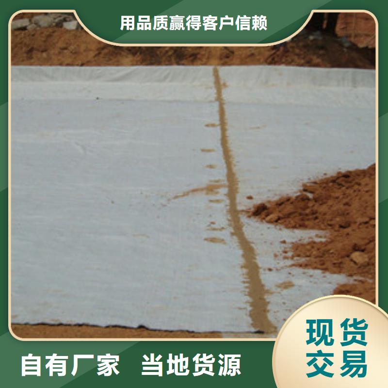 膨润土防水毯_钢塑土工格栅48小时发货