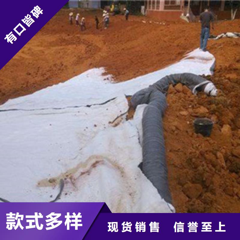 膨润土防水毯_钢塑土工格栅48小时发货