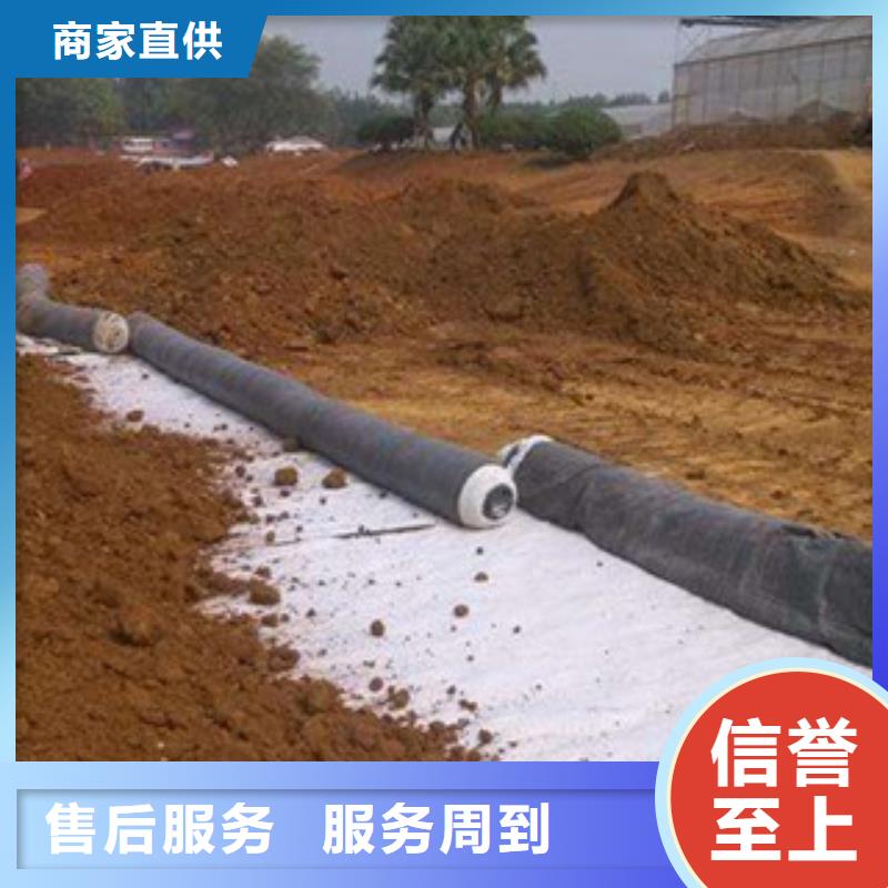 膨润土防水毯_钢塑土工格栅48小时发货