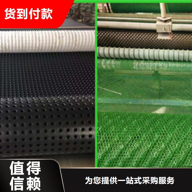 塑料排水板膨润土防水毯卓越品质保障