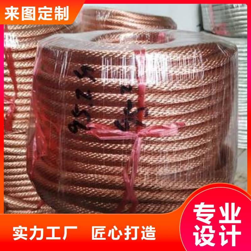 镀锡铜绞线50㎜实体大厂