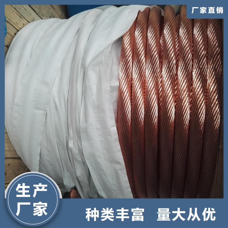 【TJX-35mm2铜绞线】变电站新建工程专用