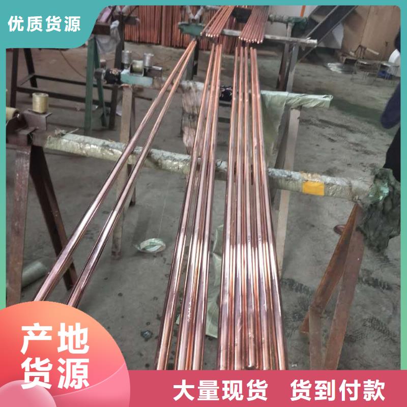 镀锡铜绞线50㎜实体大厂