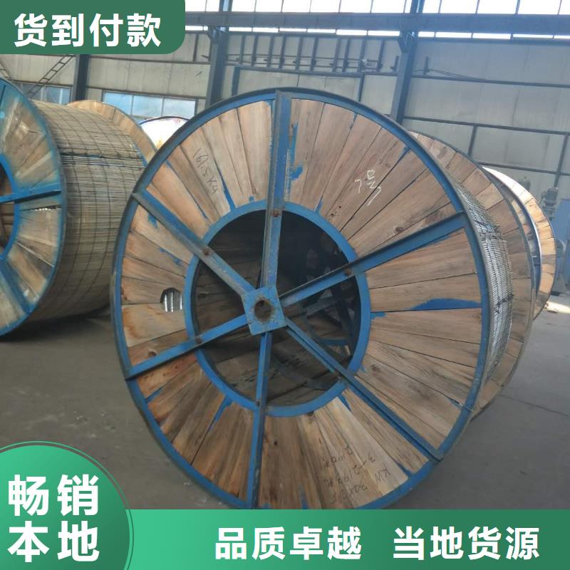 镀锡铜绞线50㎜实体大厂