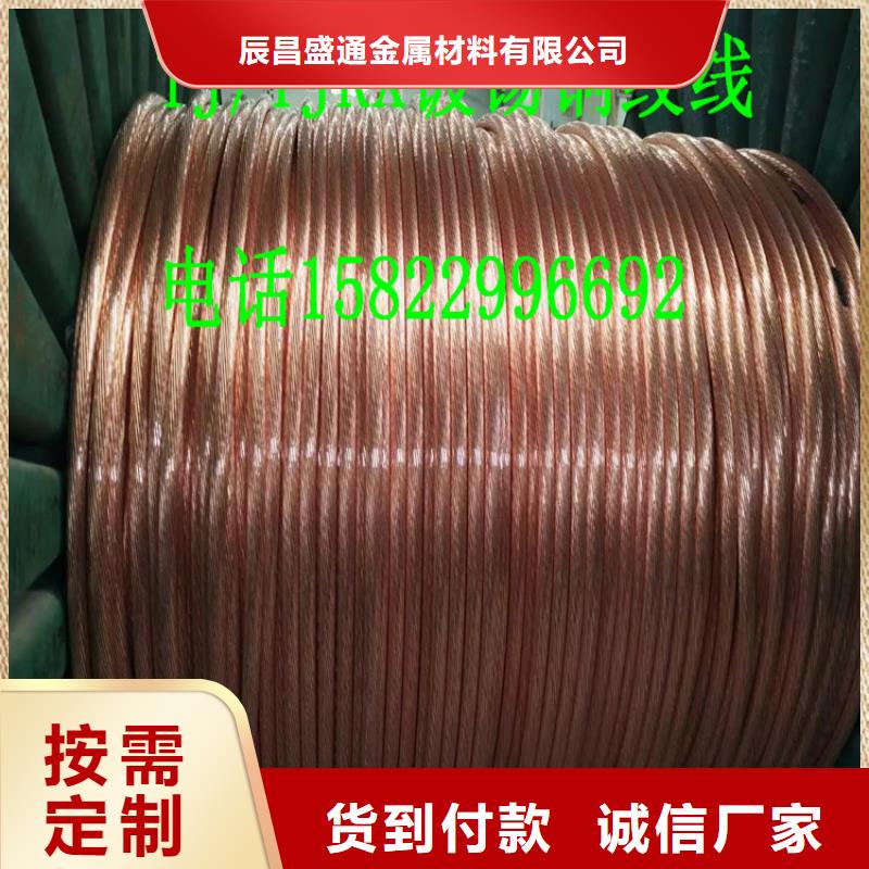 【TJX-35mm2铜绞线】变电站新建工程专用