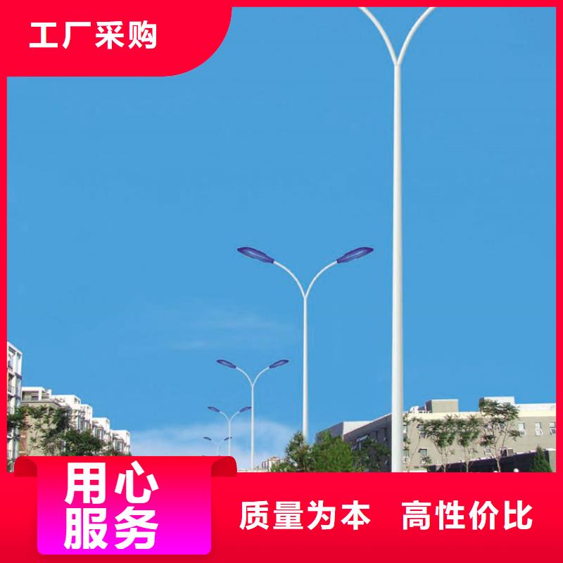太阳能市电太阳能杀虫灯厂家专业信赖厂家