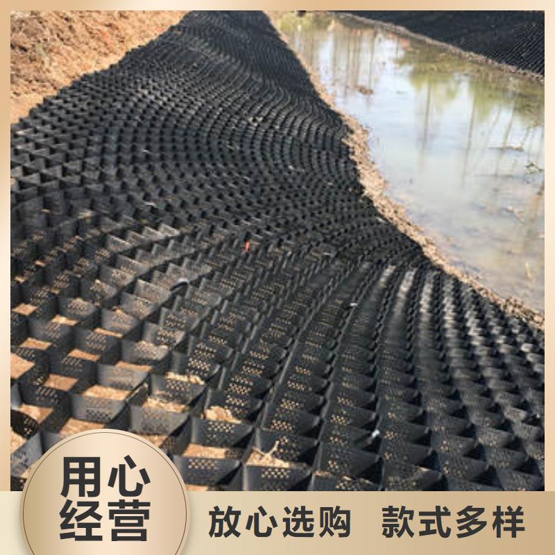蜂巢格室_软式透水管主推产品