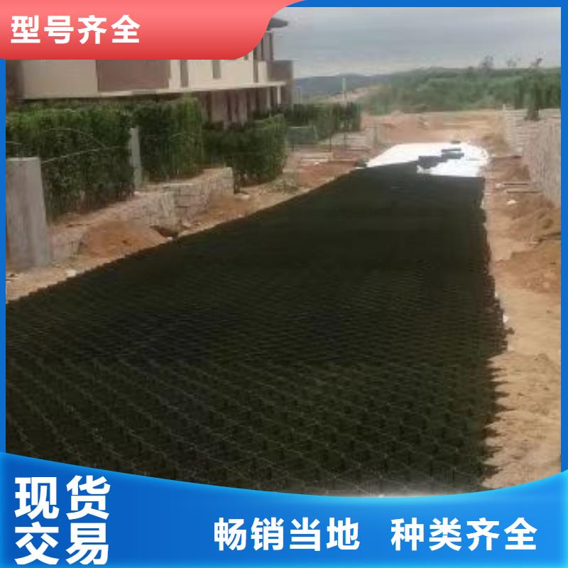 蜂巢格室_软式透水管主推产品
