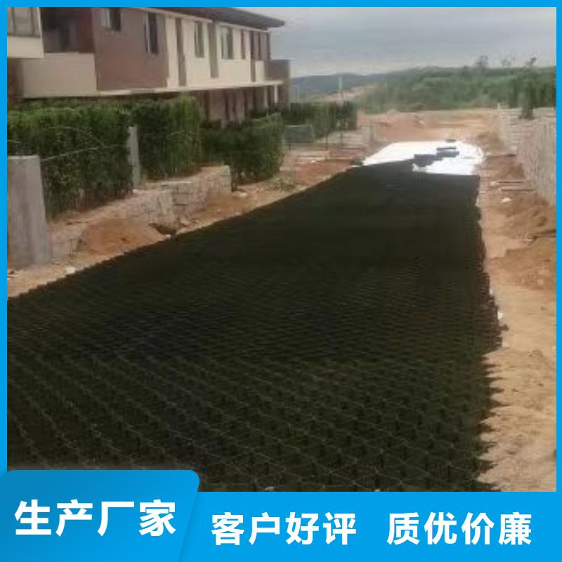 蜂巢格室土工格室好厂家有担当