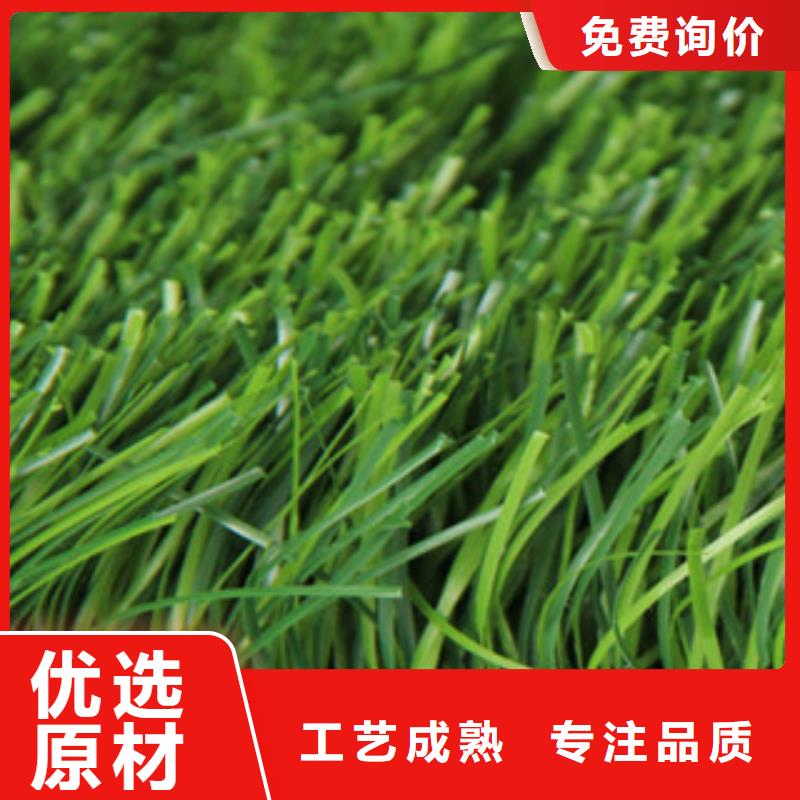 人造草坪_【塑胶跑道】拒绝伪劣产品-服务区域包括鸠江|南陵|安庆|亳州|宿州|六安|阜阳|黄山|铜陵等-产品视频