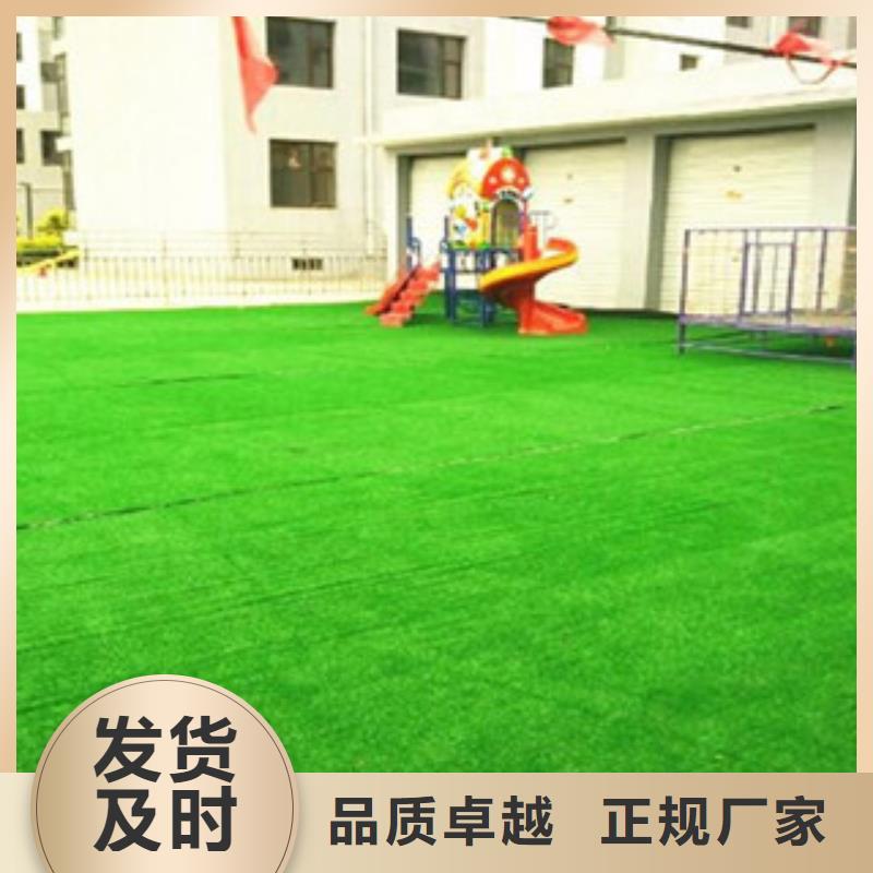 人造草坪篮球架精选厂家好货