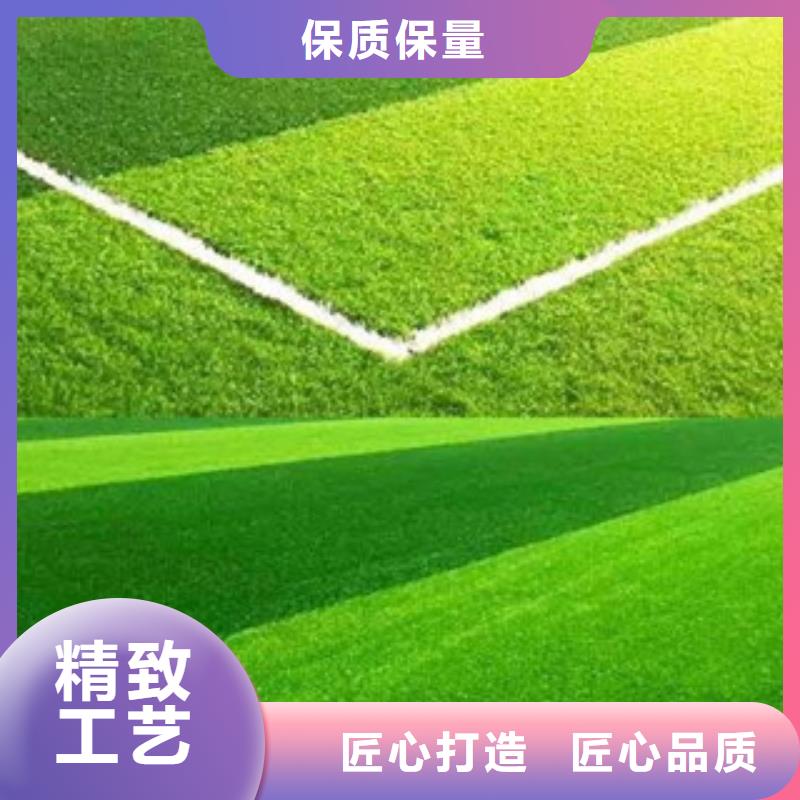 人造草坪_【塑胶跑道】拒绝伪劣产品-服务区域包括鸠江|南陵|安庆|亳州|宿州|六安|阜阳|黄山|铜陵等-产品视频