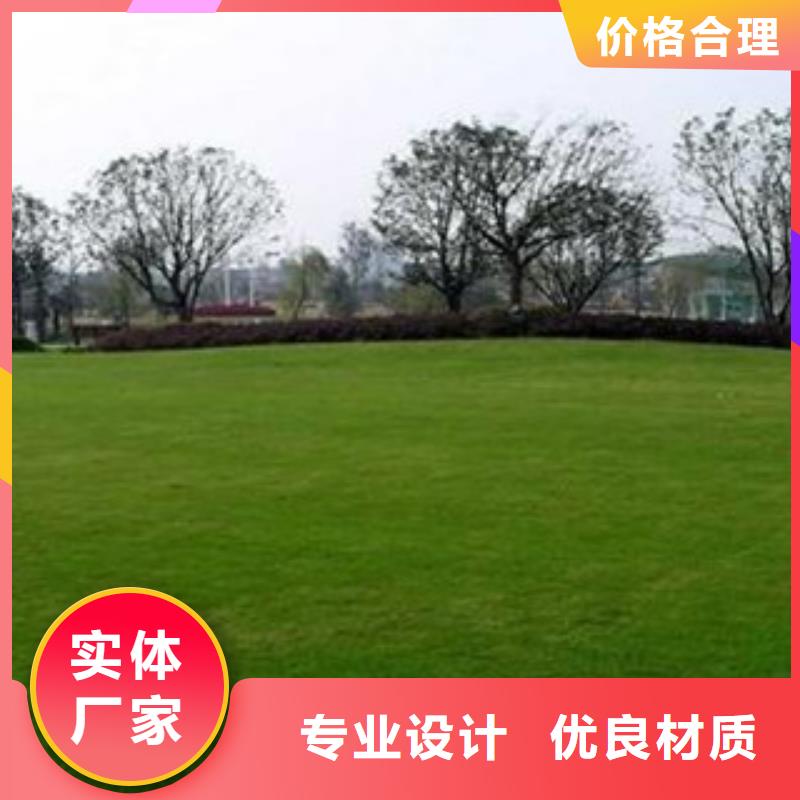 人造草坪_【塑胶跑道】拒绝伪劣产品-服务区域包括鸠江|南陵|安庆|亳州|宿州|六安|阜阳|黄山|铜陵等-产品视频